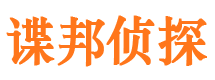 龙泉驿市调查公司